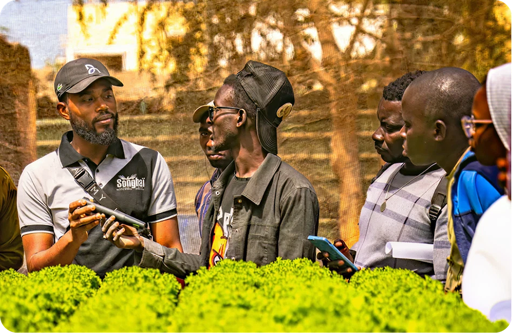 Empoderamento no Comércio Transfronteiriço